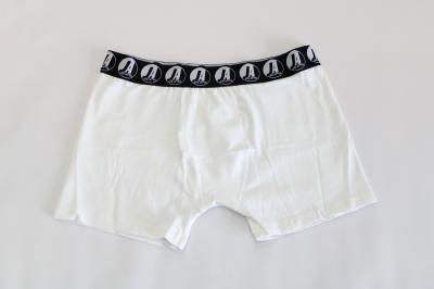 Cueca Boxer Branca 