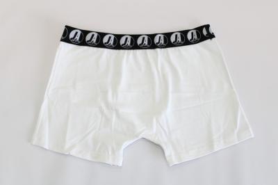 Cueca Boxer Branca 